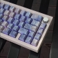 Equinox Flower 104+25 PBT Doubleshot Backlit 5-sided Dye-subbed Keycaps Set Cherry Profile Side Legends for MX Keyboard